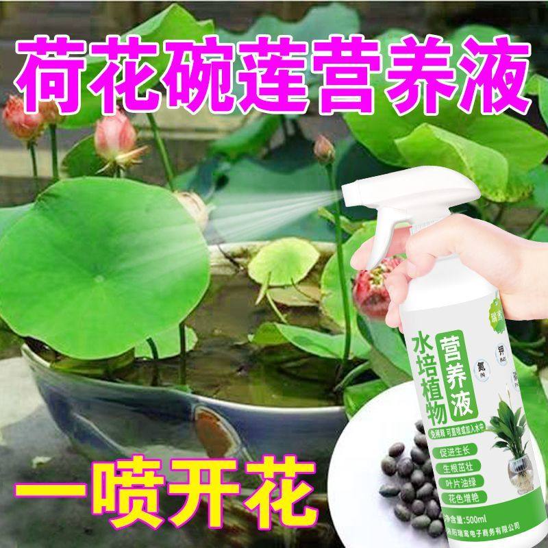 极速鲜花营养液睡莲碗莲荷花营养液水培营养液P水培莲花荷花适合