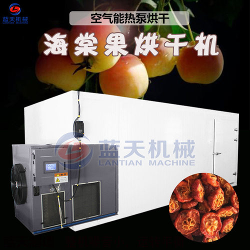 海棠果片烘干机 空气能沙果海棠干烘干房 沙果干小苹果片烘干设备