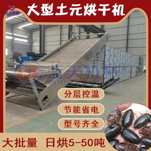 大型土元烘干机 全自动地鳖虫土鳖干燥机 网带式臭虫母烘干流水线