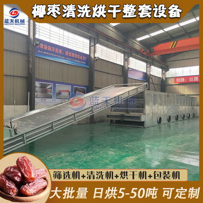 椰枣烘干机 全自动椰枣筛选清洗烘干包装生产线 海枣番枣烘干设备