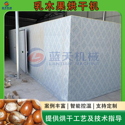 乳木果烘干机 雪亚果牛油果漂烫去壳烘干生产线 乳木果核烘干设备