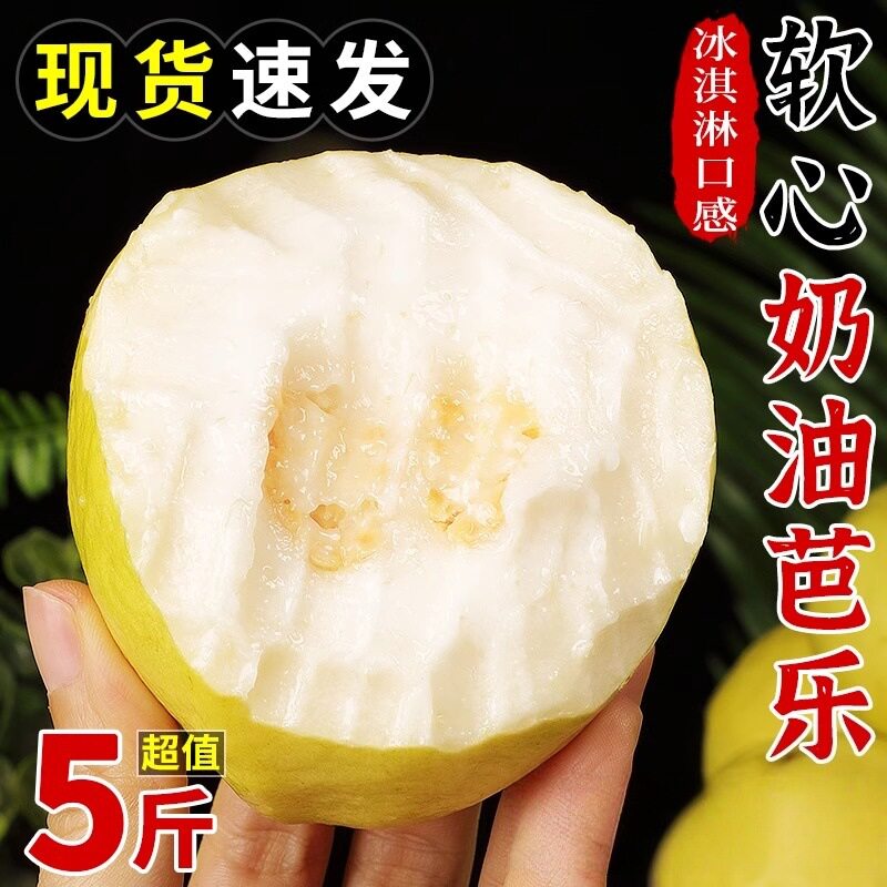 新鲜番石榴现摘孕妇水果芭乐3斤5斤软糯香甜奶油白心芭乐