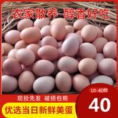 40枚正宗土鸡蛋散养农村10枚新鲜笨鸡蛋当日鲜蛋草鸡蛋整箱 包邮