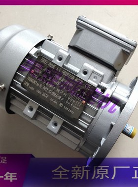 三相异步电动机 GS6324 180W GS8024 GS7112 V立卧两用法兰安装