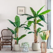 北欧大型落地仿真绿植芭蕉树仿生假植物家居室内盆景Y装 饰盆栽摆