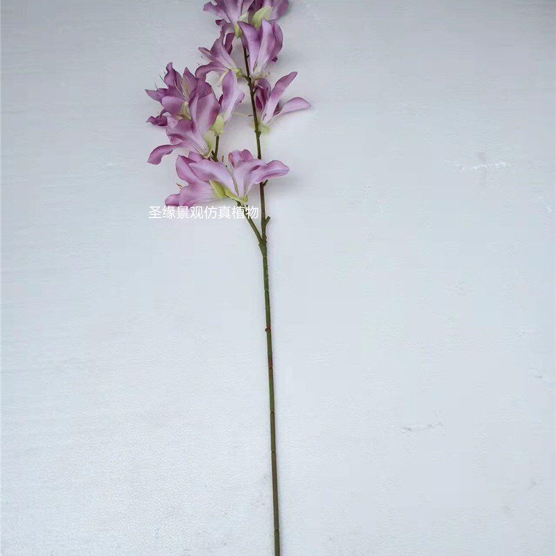 红花羊蹄甲假树仿真紫荆花u树洋紫荆玲甲花树人造香港紫荆花树装