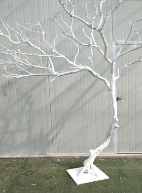 干树枝干枝树干白色许愿摆v件枯树杆实木N天然造型树假树装饰树