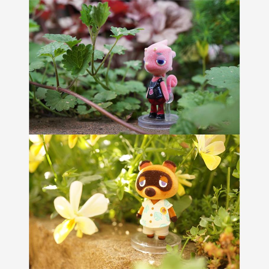 喵喵预订食玩盒蛋动物森友会