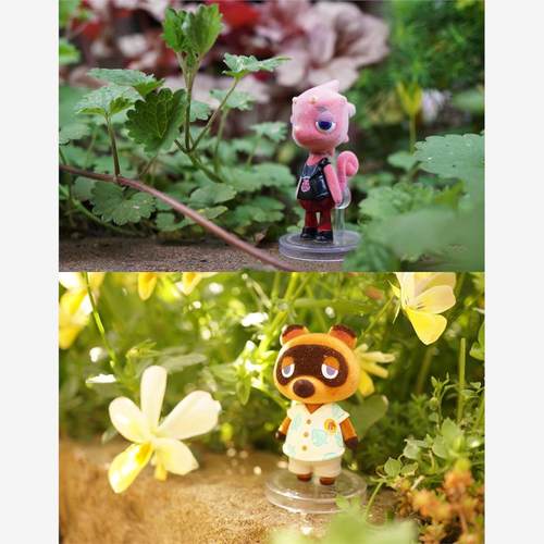 喵喵预订食玩盒蛋动物森友会