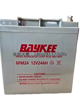 BAYKEE柏克蓄电池6FM-12V17AH24AH3F8AH65AH100AHUPS铅酸免维护