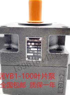 M7130平面磨床油泵YB1s-100叶片泵杭州M7132磨床油泵液压帮浦配件