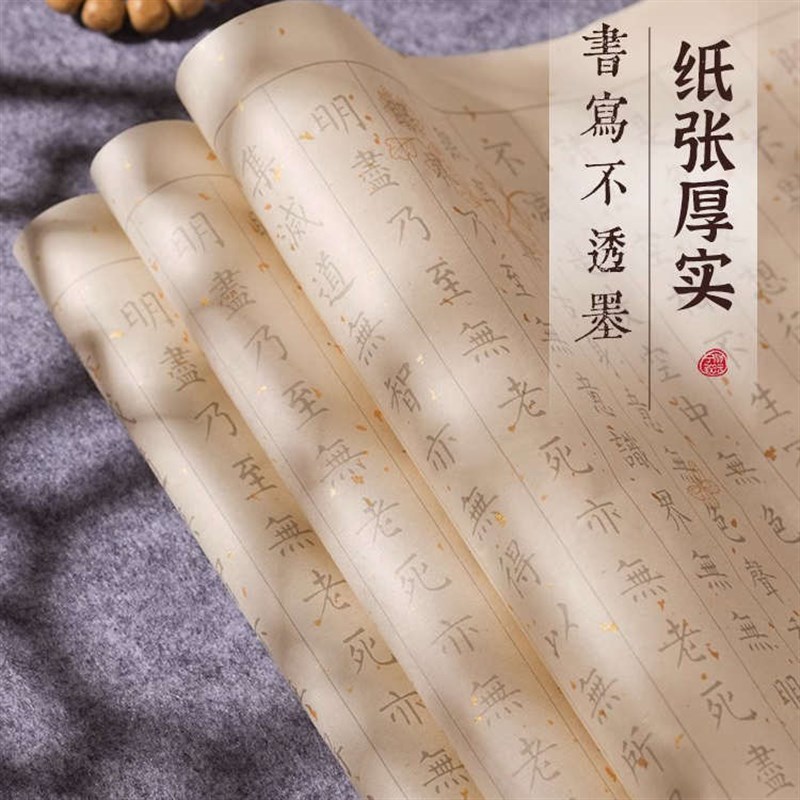 手抄本地藏经药师普门品楞严咒抄写本宣纸O毛笔软笔书法临摹字帖