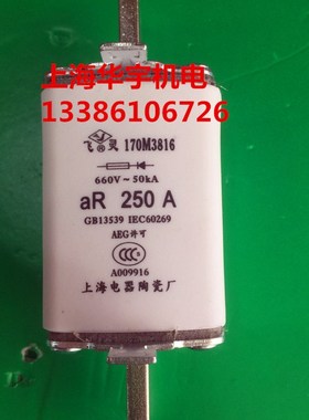 170Mb3816 170M3816D 250A 保险丝 690V/700V 熔断器