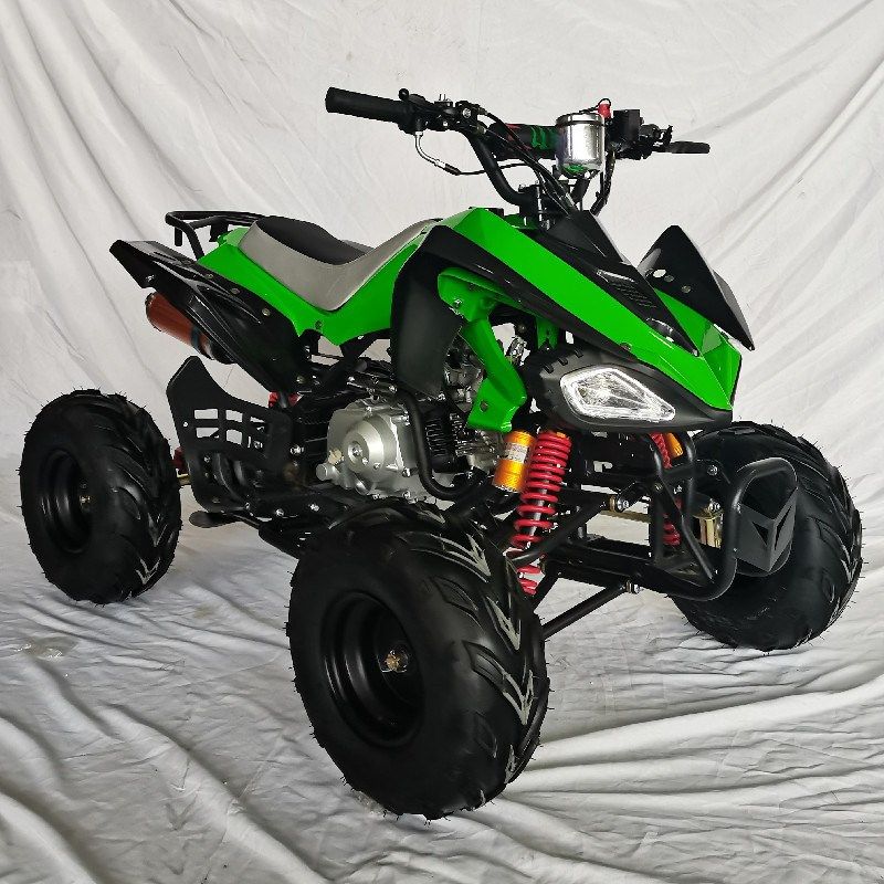 110-125cc大小n火星全地形沙滩车,四轮越野ATV,UTV农夫车卡丁车