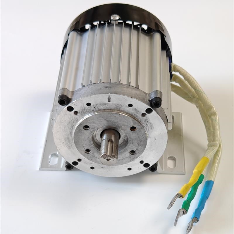 新款24v1500w无刷清洗洗车改装电机19轴2800转安装Y孔70控制器