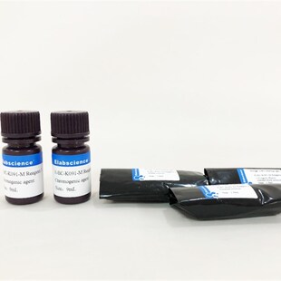 Elabbscience 碱性磷酸酶(ALP)比色法测试盒E-BC-K091-M  48T96