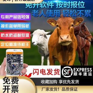 神马星牛羊定位器gps放牛追踪神器山区放牧专用防水W防丢追跟仪器