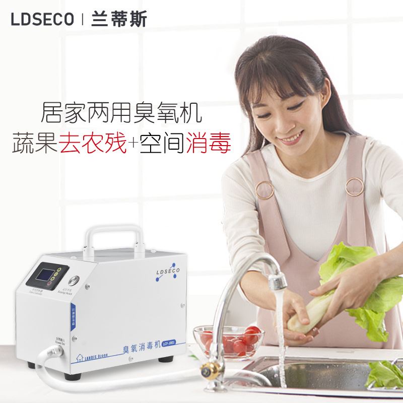 兰蒂斯厂家定时款1小型办公室除甲醛家用去除农残臭氧发生器