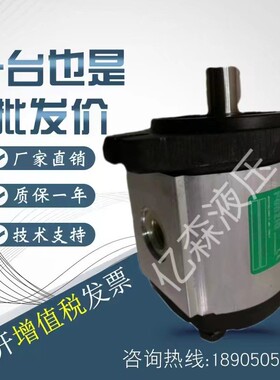 罗茨RONZIO液压齿轮泵02ZCG06L434D/02ZAG04E032D/02ZCG17N435D0N