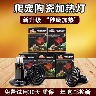 爬宠陶瓷加热灯远红外宠物鹦鹉蜥蜴鬃狮蜥保温灯乌龟芦丁鸡加温灯