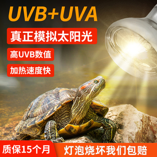 全光谱太阳灯乌龟uvb晒背灯爬宠加热补钙灯uva宠物蜥蜴陆龟保温灯