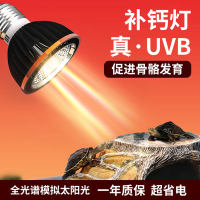 乌龟晒背灯补钙灯全光谱太阳灯