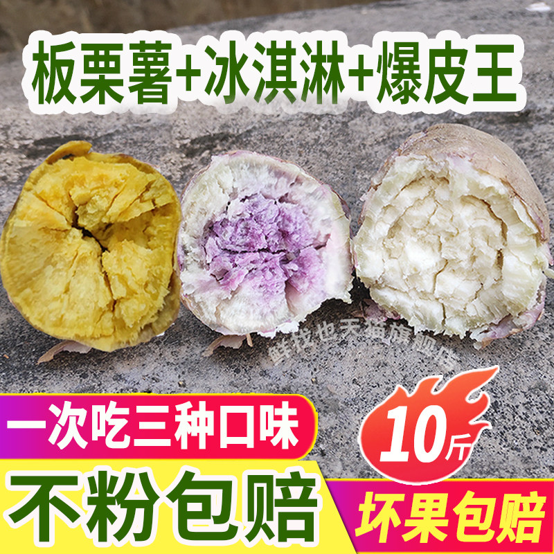 新鲜高州爆皮王番薯粉糯甜板栗薯沙地冰淇淋红薯混搭当季干面地瓜