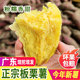 红薯新鲜干面地瓜鸡蛋黄番薯农家自种黄心粉糯甜沙地板栗红薯当季