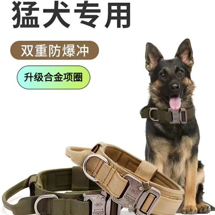 马犬边牧田园犬护颈战术训练防爆冲狗狗项圈中小大型犬遛狗牵引绳
