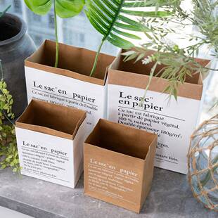 爆款迷你牛皮纸袋ins现货厂家收纳纸袋双层加厚北欧风花瓶MW90888