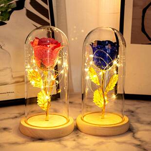 爆款24k金粉玻璃罩玫瑰花创意母亲情人节礼物发光仿真永生花礼品