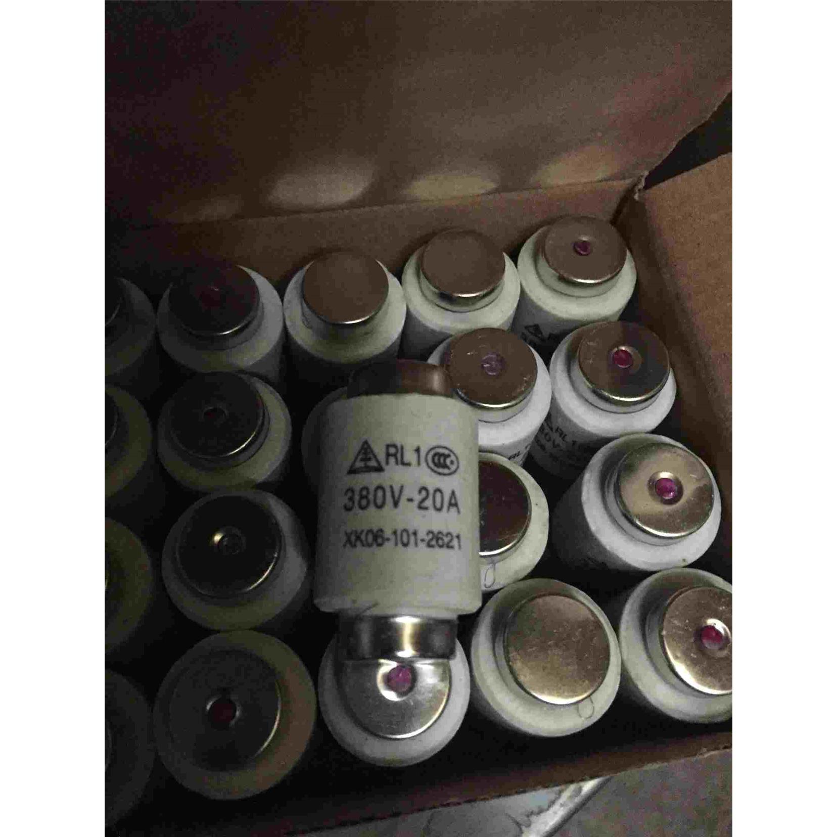 RL1-60熔断器芯 20a 30a 40a 50a 60a 一盒价20个