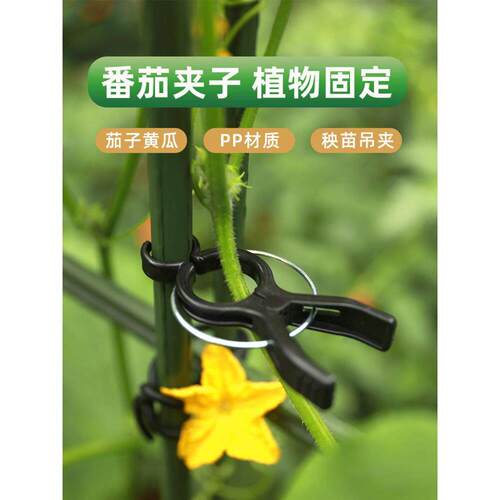 番茄夹种菜菜杆架子黄瓜西红柿固定夹子柿支撑撑杆藤架爬藤架支架