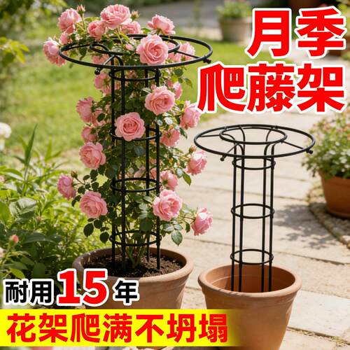 月季爬藤架伞形花架园艺支柱阳台庭院户外蔷薇攀爬架架植物支撑杆