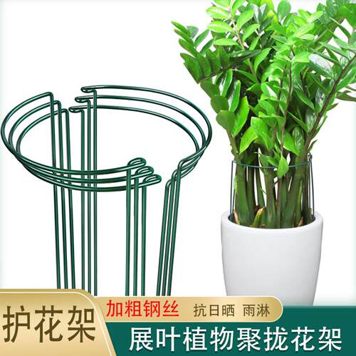 花架支伸缩杆金钱树防倒爬藤支架伏植物支撑架龟背芋绣球花架子