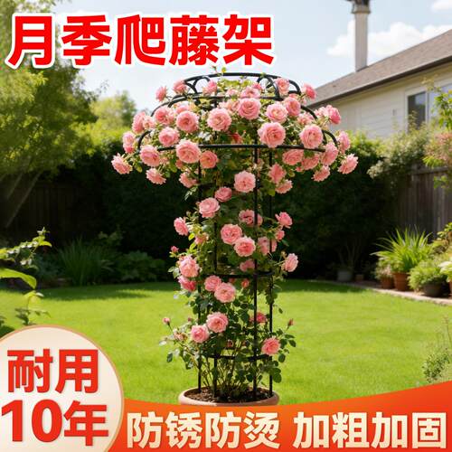 月季爬藤架植物攀爬架伞形花架支撑铁线莲飘杆香藤蔷薇固定花支架