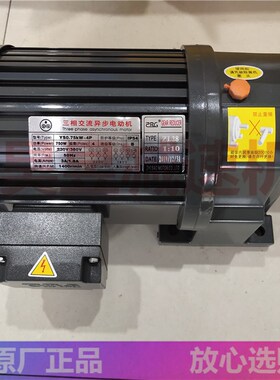 ZHIBAO智宝排屑传送机械电机 YS0.75KW-4P YS0.2KW-4P ZL28 ZF22