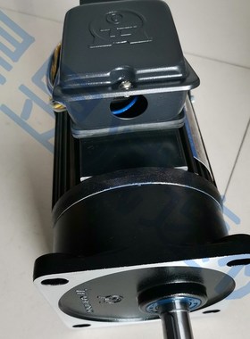 TL自动推门电机 M590-402 GA-10 M5120-502 单相感应调速小马达