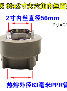浅灰色PPR外丝直接32 40 50 63水管大六角内牙1寸2寸加厚管件接头