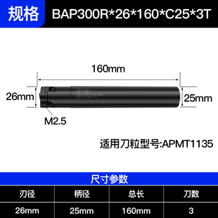 德国卡浦BAP300r数控铣刀杆ASM加工中心1604钨钢1135飞刀杆400R