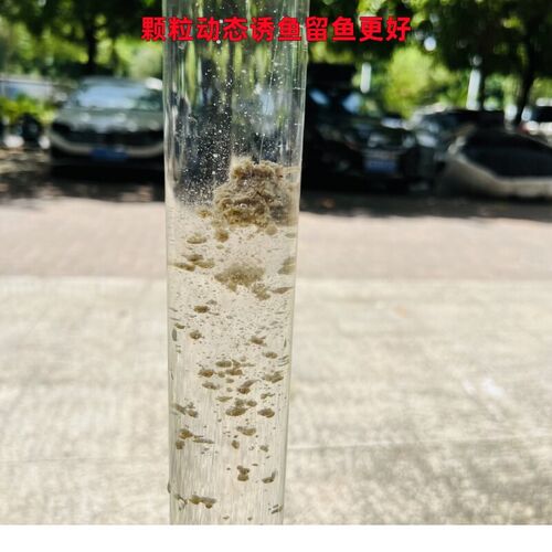 广西神饵花生麸破碎颗粒黑坑竞技休闲垂钓新鱼无限回锅滑口鲤鱼
