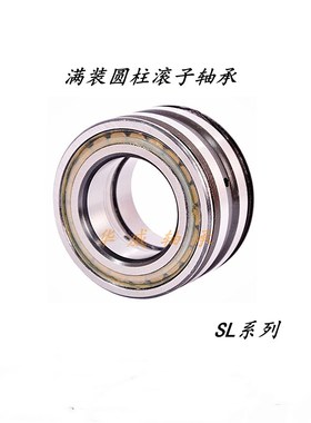 满装圆柱滚子轴承SL04/NNF5019 045020 D045022 045024 045026 PP