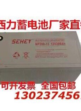SEHEY西力蓄电池SH/NPG12V24AH38AH40AH55AH65AHR100AH200AH直流