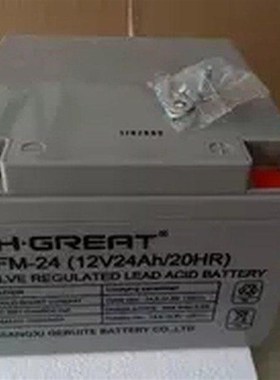 格瑞特CH.GREAT蓄电池6-FM-w33 12V33AH/20HR 消防柜 应急电源专