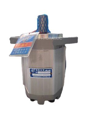 合肥皖液液压元件有限公司CBQ-F563-AFP(T)齿轮泵CBQ-FT573-AFP(T