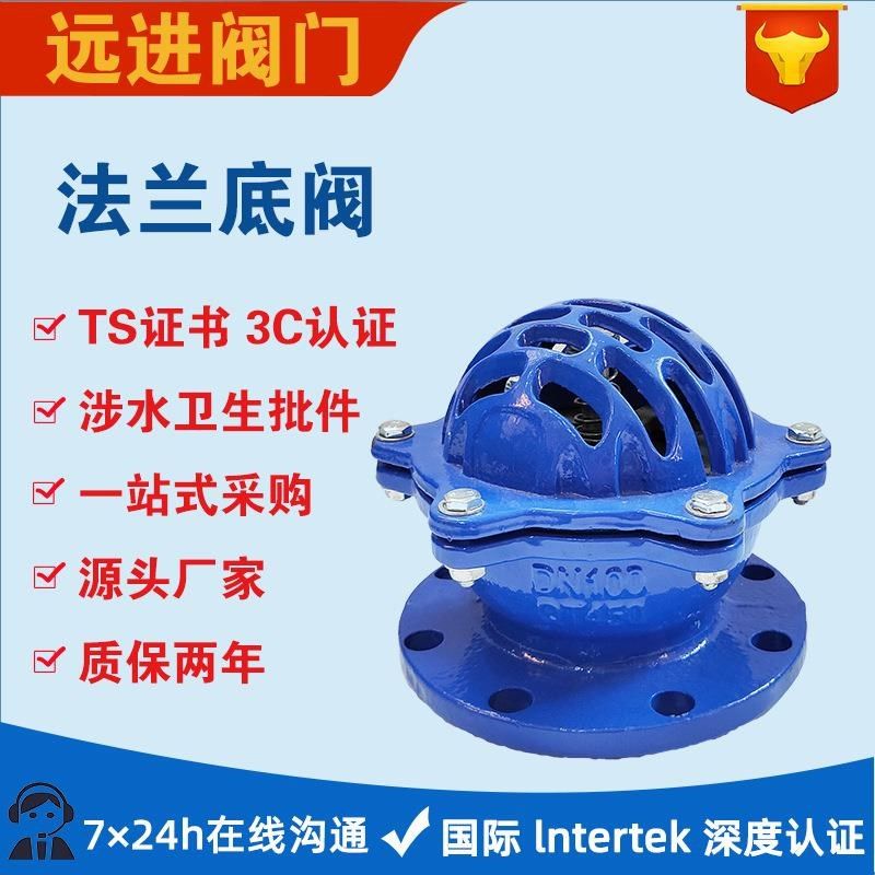 法兰底阀 H42X-10 球墨铸z铁法兰底阀 吸水底阀 水泵底阀 单向阀