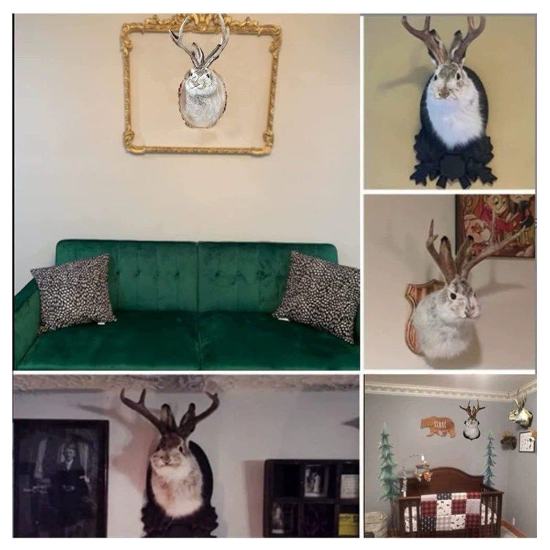 独立站爆款鹿角兔墙饰复活节鹿头壁挂I架假兔毛茸茸动物标本录制,家居饰品,装饰摆件,淘宝优惠券,粉丝福利购,淘宝优惠卷