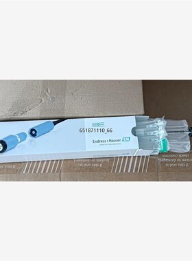 E+H CPS11mE-AA7BAA2CPS11E-1082