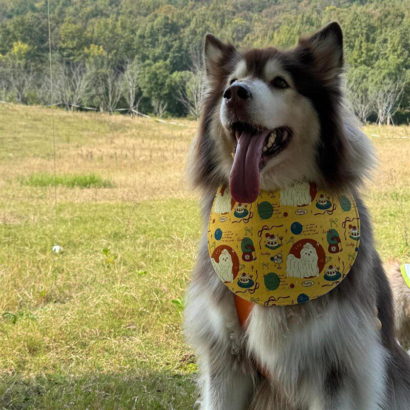 口水巾狗狗大型犬阿拉斯加萨摩耶围兜G防脏三层加厚防水可立口水
