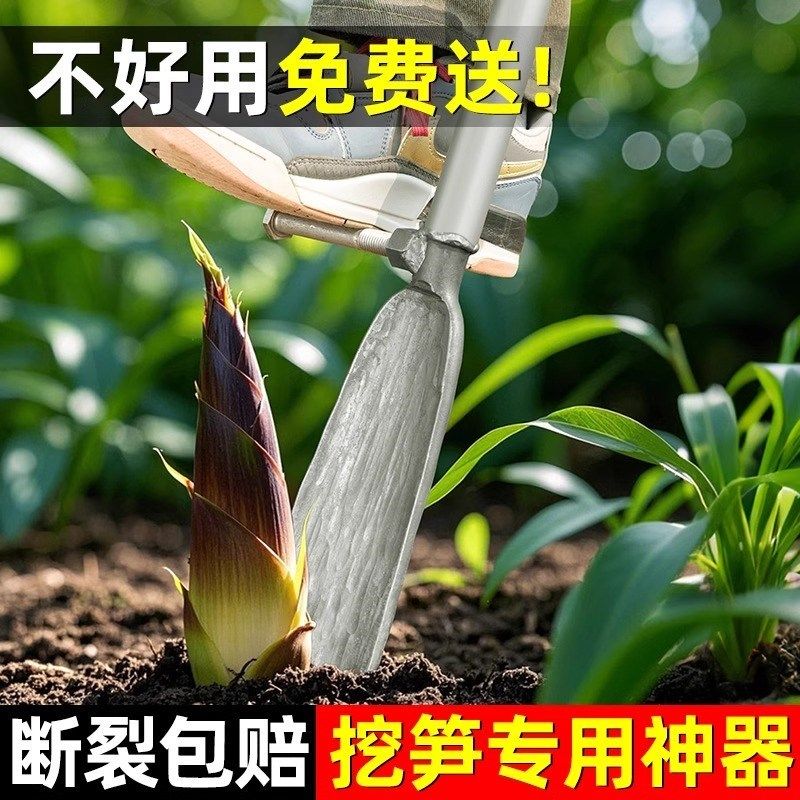 锰钢挖树锹小洛阳铲p子挖竹笋神器铁锹挖土家用挖树根野菜,农机/农具/农膜,锄头,淘宝优惠券,粉丝福利购,淘宝优惠卷